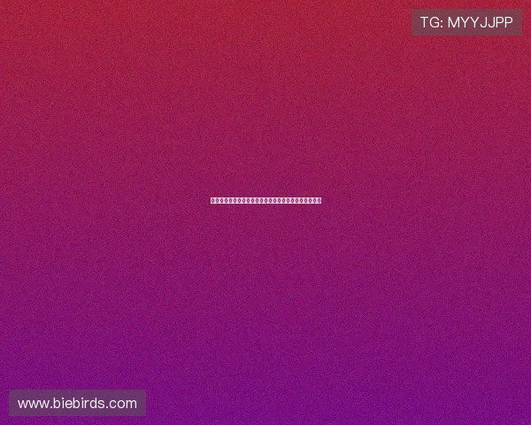 广州联官宣多名新星赴欧洲参赛锻炼球队加速青年化进程